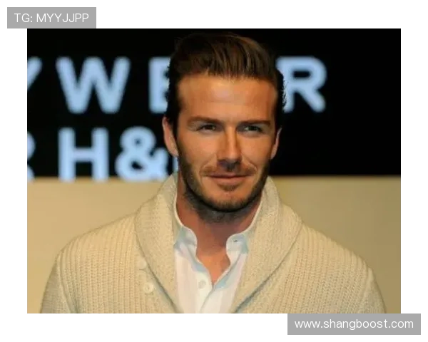 足球退役球星颜值排行榜揭秘 谁是最帅的绿茵场传奇人物